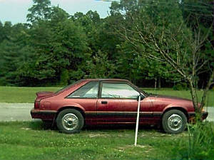 mustang.jpg